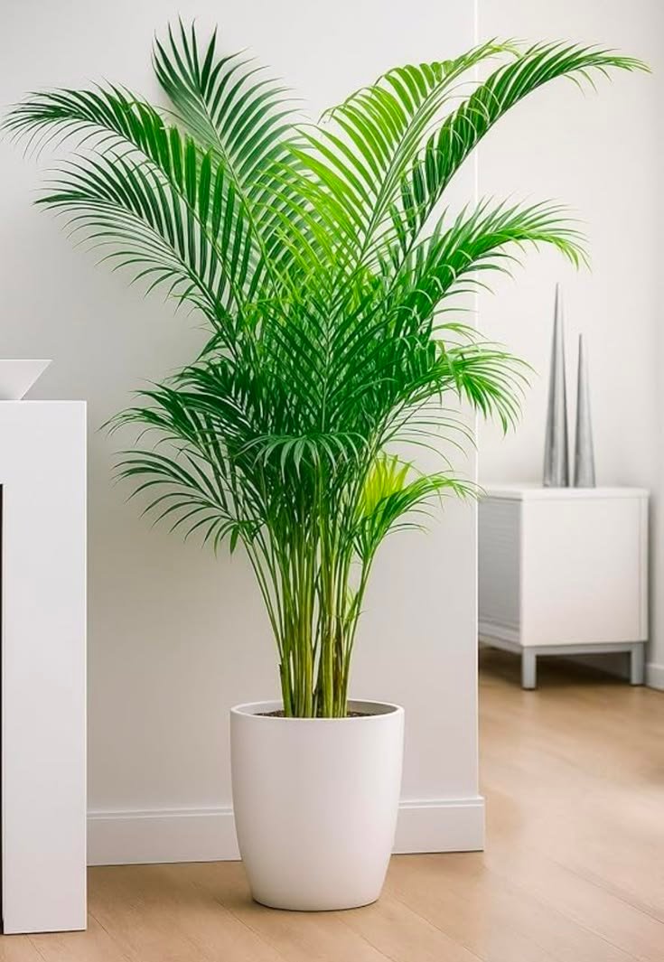 Air Purifiers